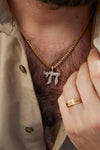 Pendentif Hai en diamant