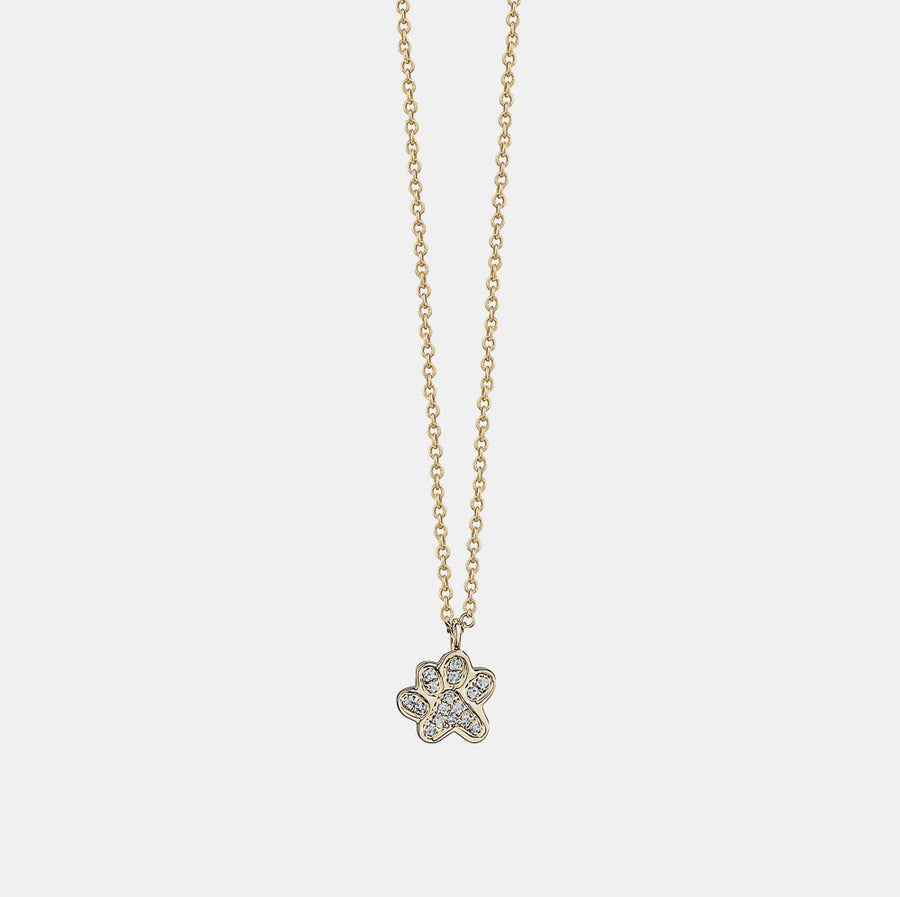 Collier à Patte en Diamant